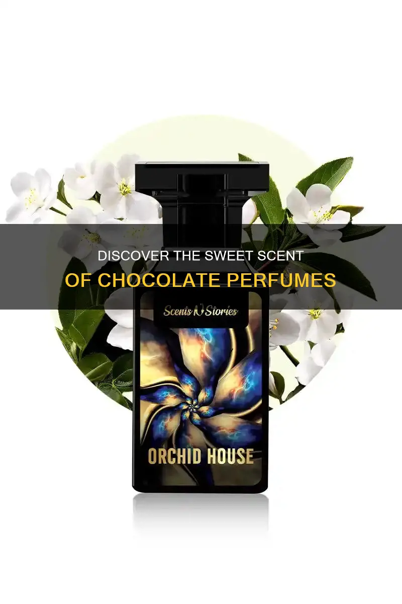 what perfume smells like chocolate