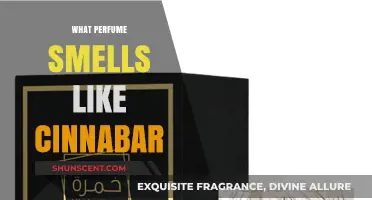 Discover Cinnabar-Inspired Scents: A Guide to Similar Perfumes