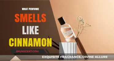 Cinnamon Scents: Spicy Fragrances for Men and Women
