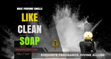 Fresh Scents: Discovering Soapy Perfumes
