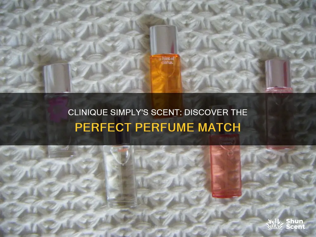 what perfume smells like clinique simply
