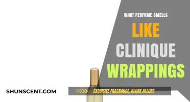 Finding the Scented Trail: Clinique Wrappings' Perfume Twins