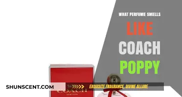Coach Poppy: Discover the Fragrance's Signature Scent