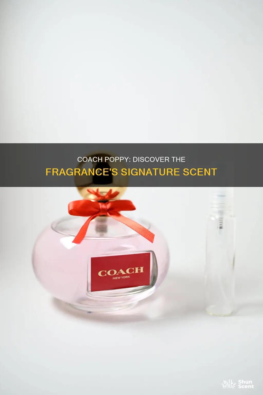what perfume smells like coach poppy