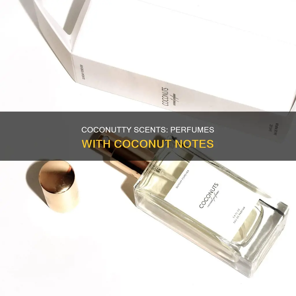 what perfume smells like coconut