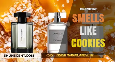 Scents of Delicious Cookies: Which Perfumes Smell Like Cookies?