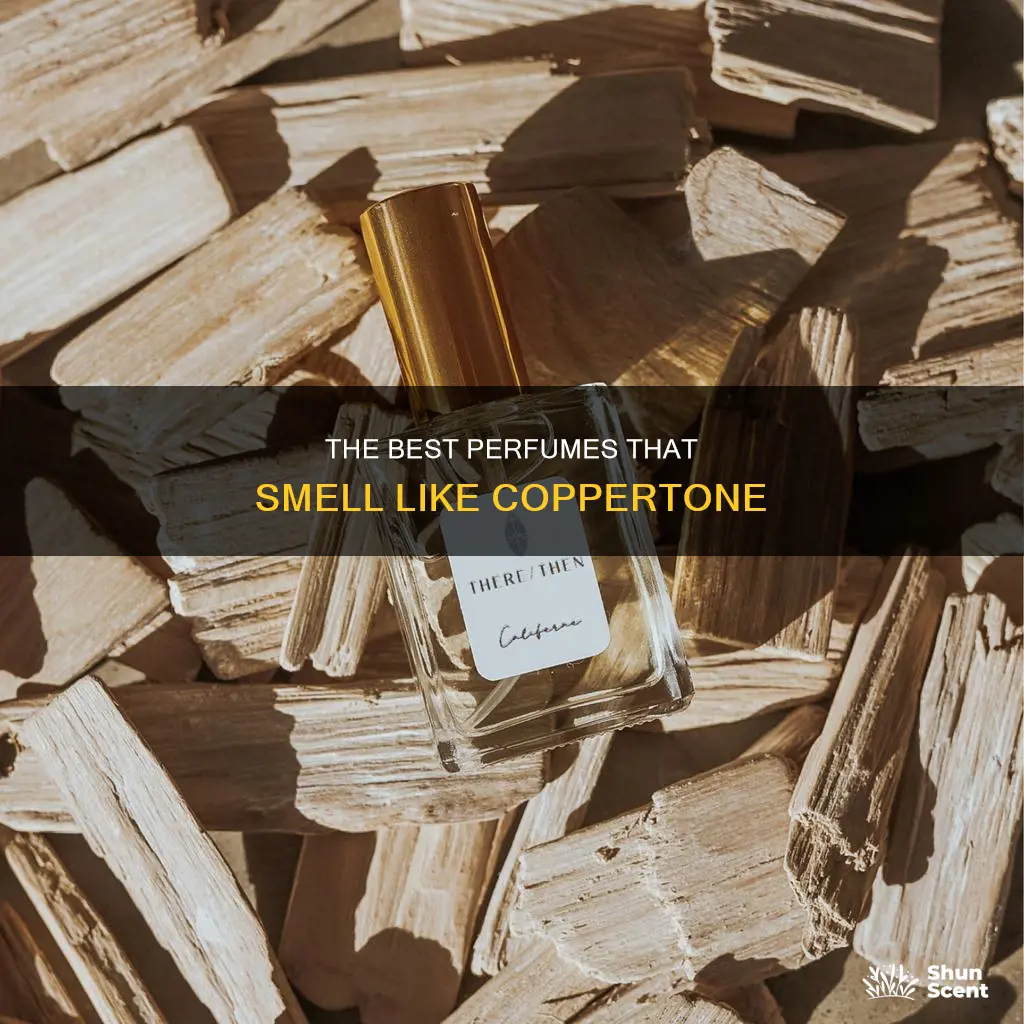 what perfume smells like coppertone