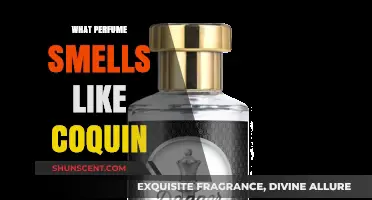 Discover the Seductive Scents of Coquin-Inspired Perfumes