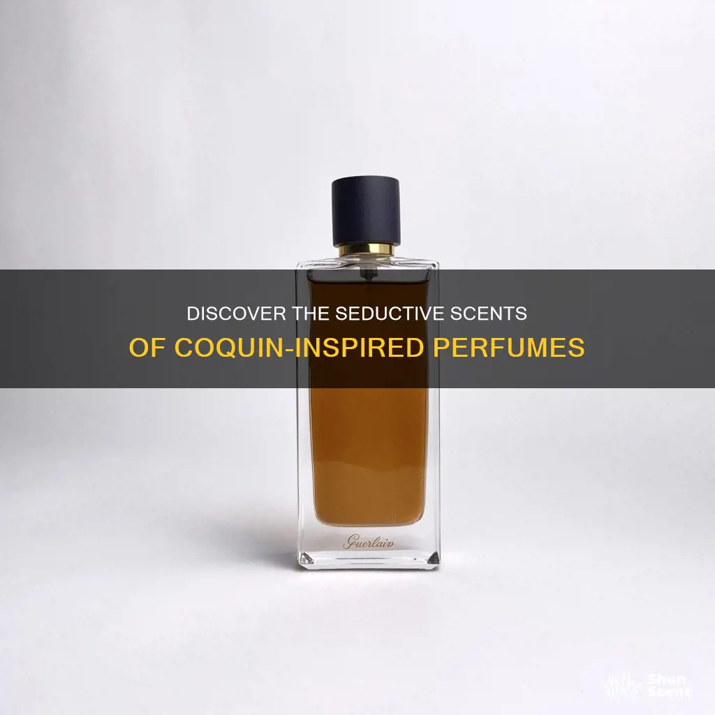 what perfume smells like coquin