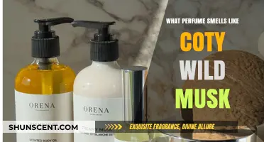 Similar Scents: Coty Wild Musk Alternatives