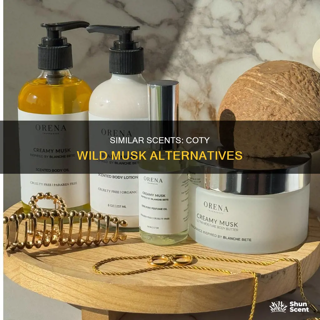 what perfume smells like coty wild musk