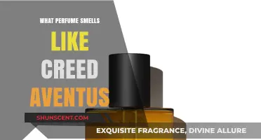 Creed Aventus Smell-Alikes: Exploring Similar Scents