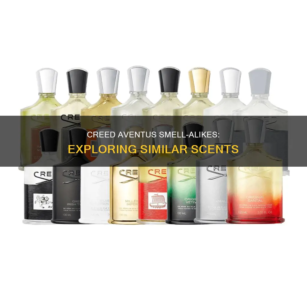 what perfume smells like creed aventus