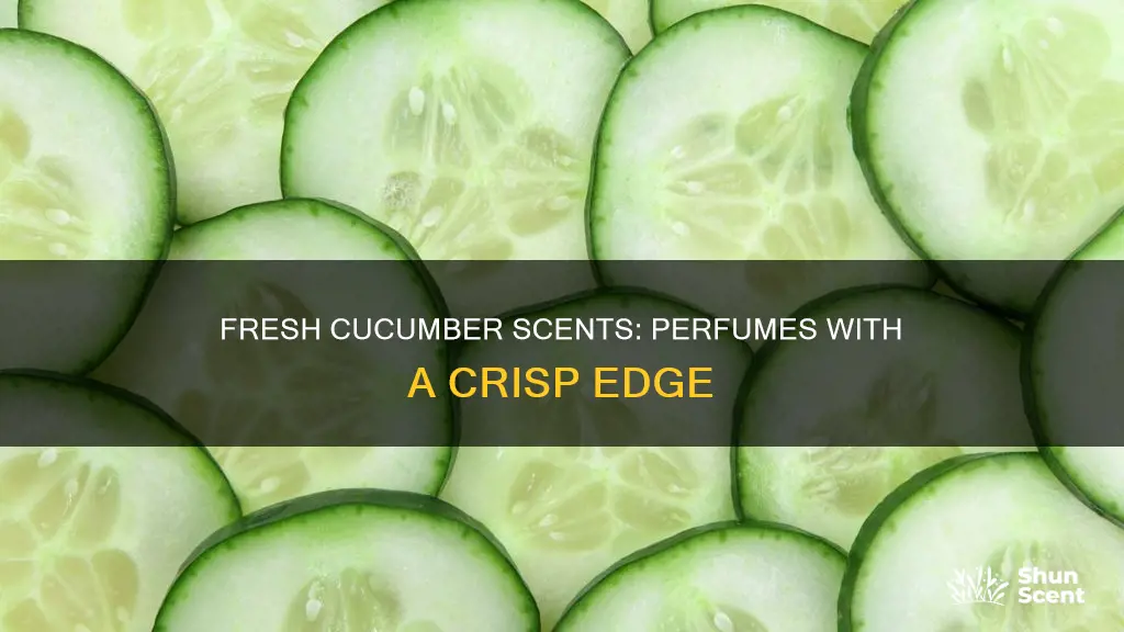 what perfume smells like cucumber