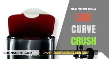 Discovering Scents: Curve Crush and Its Fragrance Family