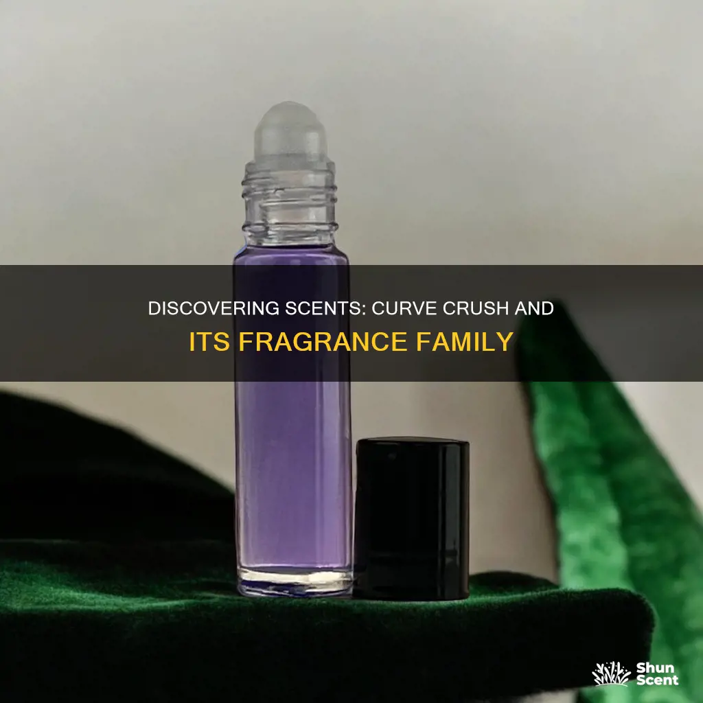 what perfume smells like curve crush