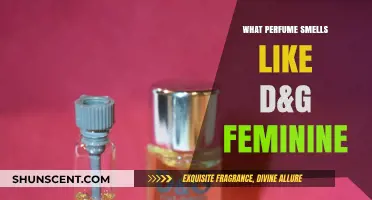 D&G Feminine: The Ultimate Fragrance for Women