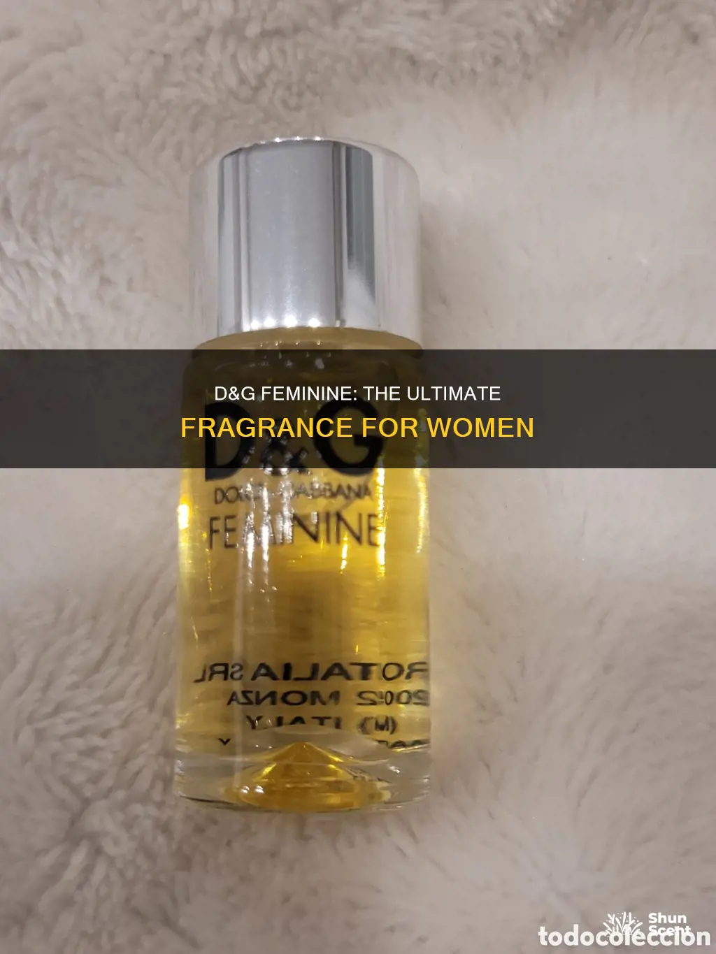what perfume smells like d&g feminine