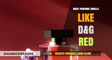 Discovering the Scents of D&G Red