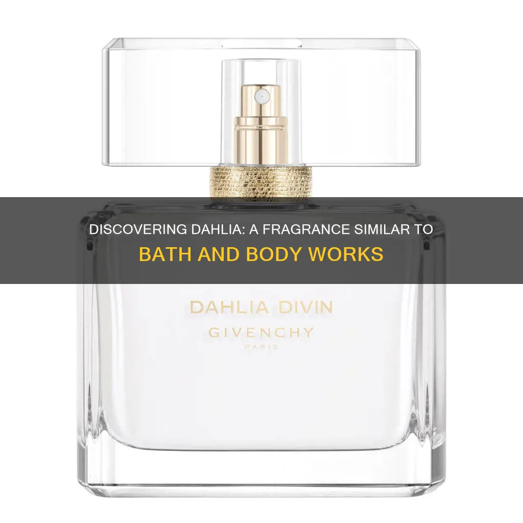 what perfume smells like dahlia bath and body works