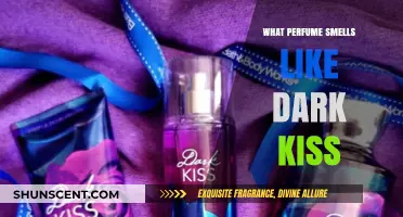 Explore the Seductive Scents of Dark Kiss Fragrances
