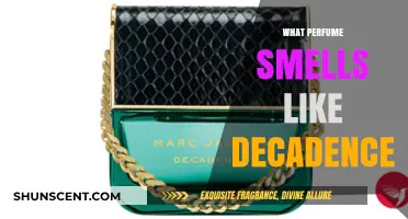 Explore Decadent Perfumes: Scents of Luxury and Indulgence