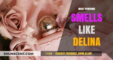 Similar Scents: Discovering Perfumes Like Delina