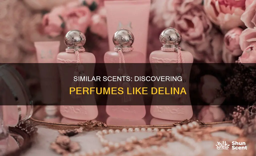 what perfume smells like delina