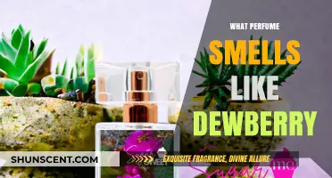 Discover the Dewberry Scent: Fragrances that Captivate