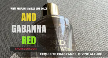 Similar Scents: Dolce & Gabbana The One for Men