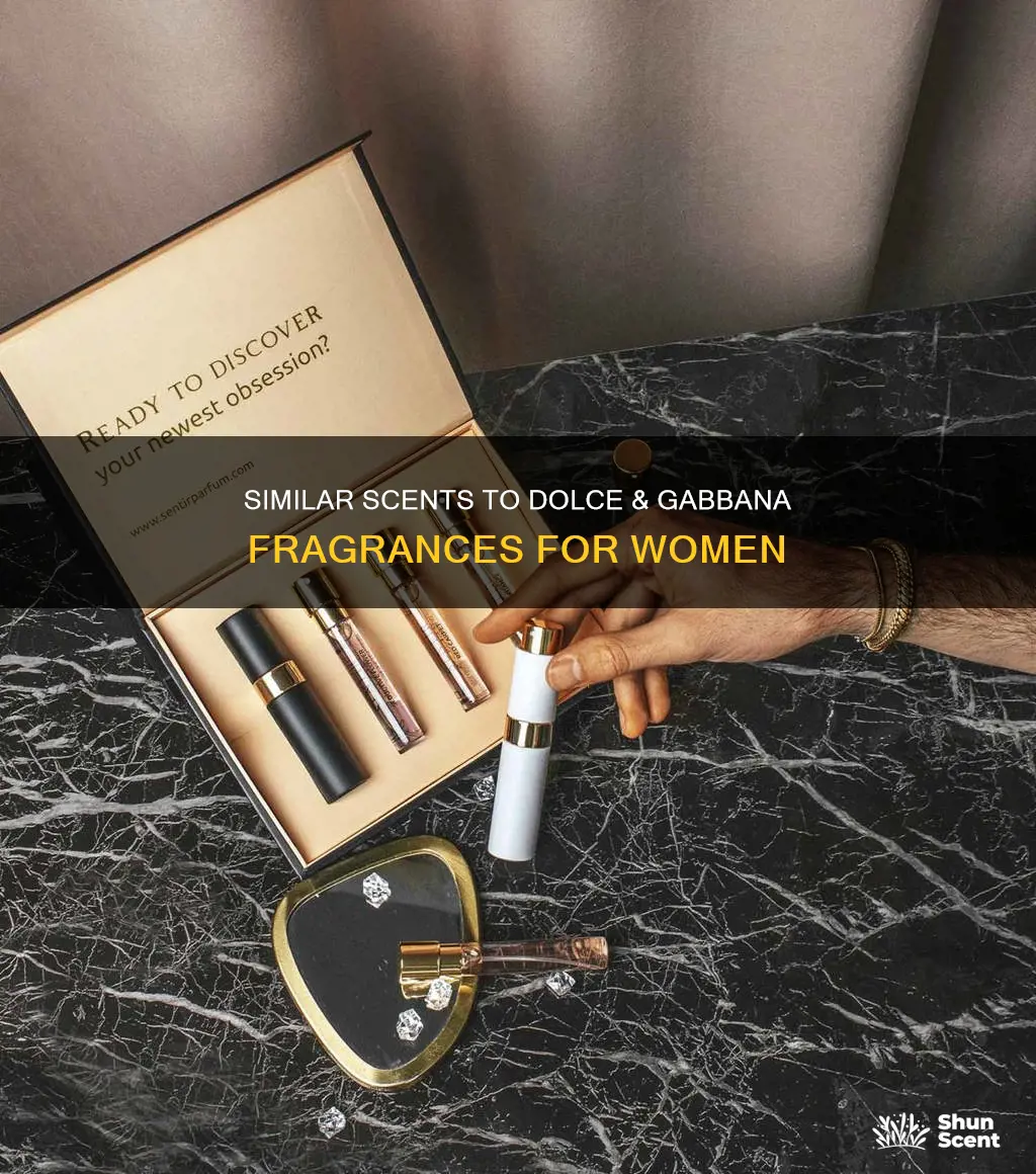 what perfume smells like dolce and gabbana by