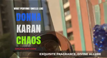 Donna Karan Chaos: What Perfumes Smell Similar?