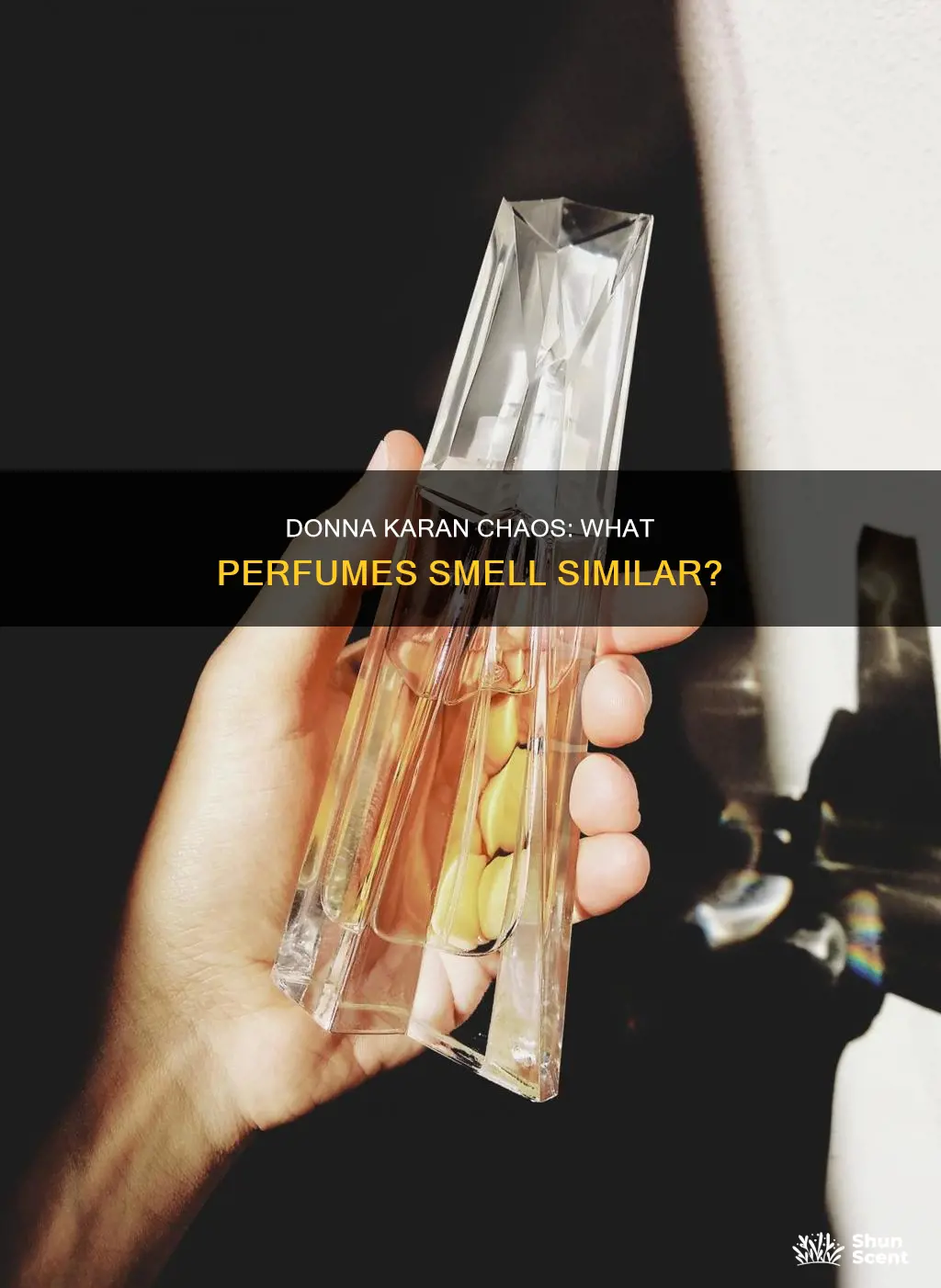 what perfume smells like donna karan chaos