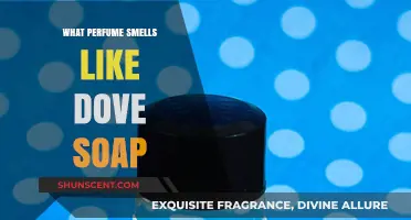 Dove Soap Scents: Which Perfumes Match the Freshness?