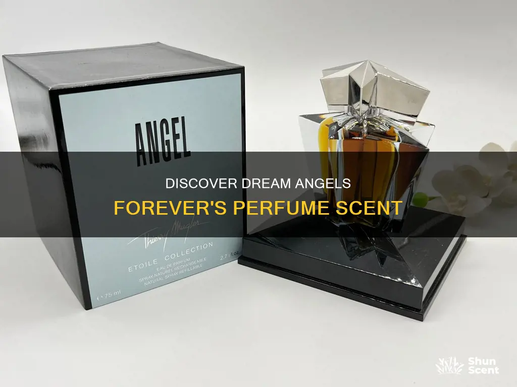 what perfume smells like dream angels forever