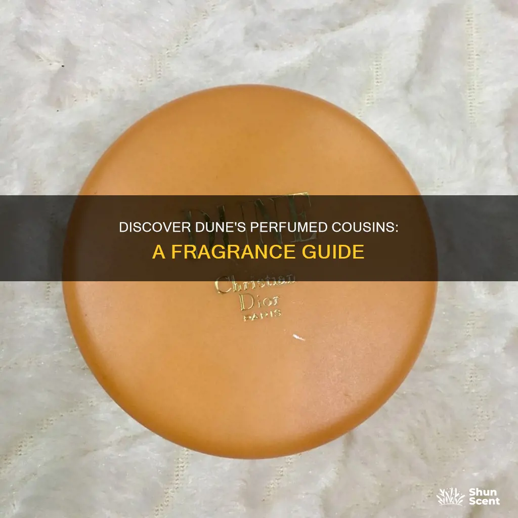 what perfume smells like dune