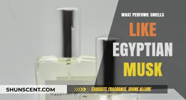 Egyptian Musk: Discover the Sensual Scents