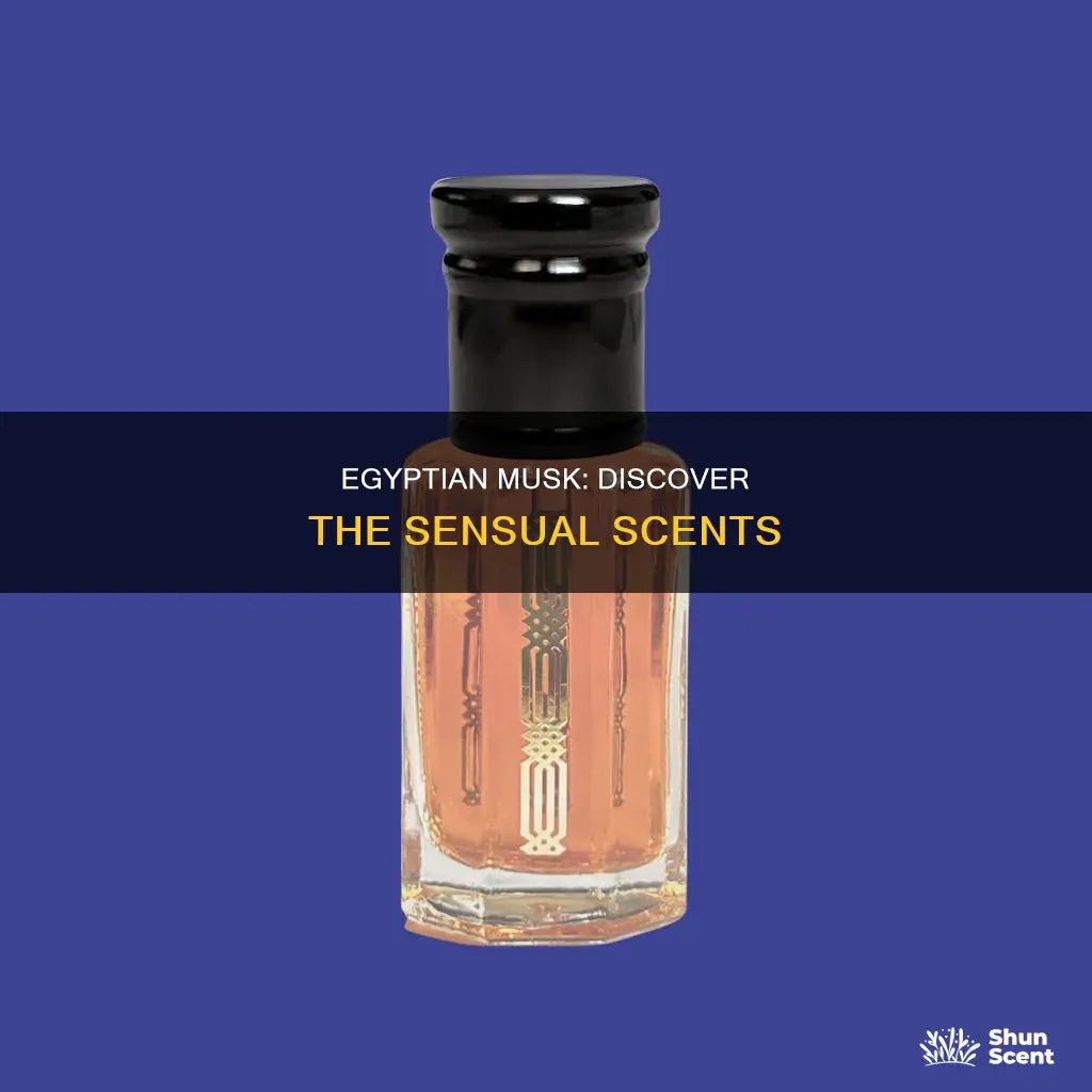 what perfume smells like egyptian musk
