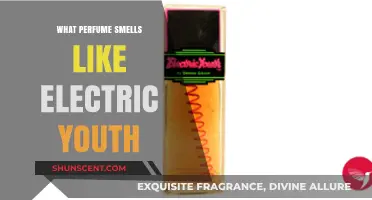 Scents of Electric Youth: Exploring Perfumes