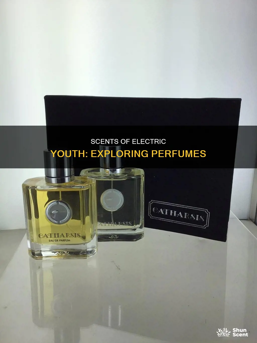 what perfume smells like electric youth