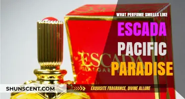 Escada Pacific Paradise: Which Perfumes Have Similar Scents?