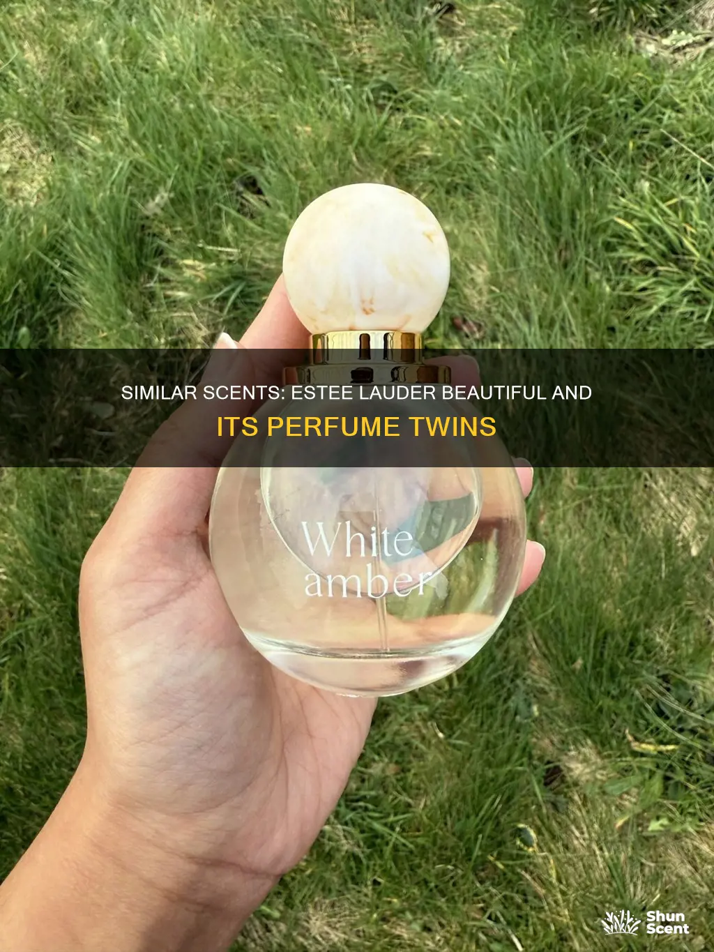 what perfume smells like estee lauder beautiful