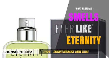 Explore Eternity: Scents that Create an Everlasting Impression