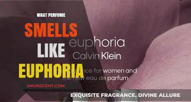Explore Euphoria-Inducing Scents: Perfumes that Smell Like Bliss