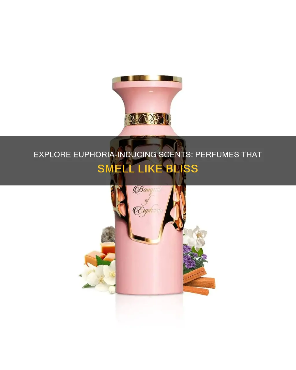 what perfume smells like euphoria