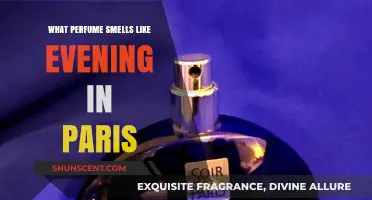 Evening in Paris: The Perfumes that Smell Like It