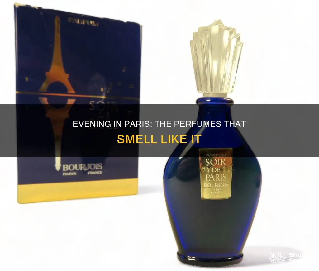 what perfume smells like evening in paris
