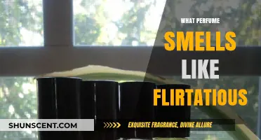 Scents of Seduction: Fragrances That Whisper Flirtatious Whispers