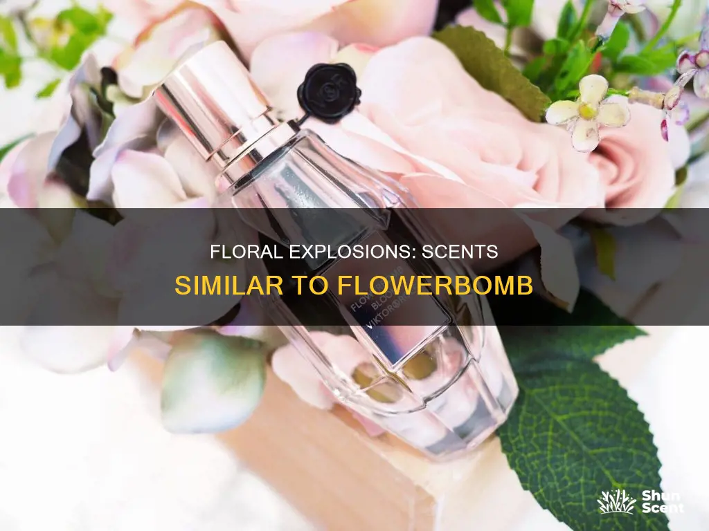 what perfume smells like flowerbomb