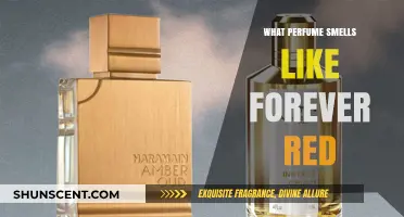 Discover Forever Red's Fragrance Family and Similar Scents